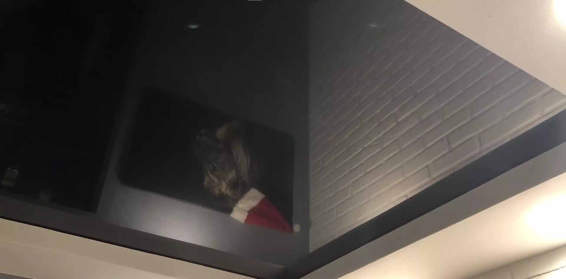 Брянск, Тельмана, 68/2, фото 3